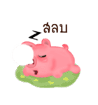 baby pig sticker（個別スタンプ：40）