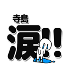 寺島さんデカ文字シンプル（個別スタンプ：11）