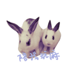 Bunny Brothers（個別スタンプ：8）