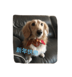 caddy（個別スタンプ：4）