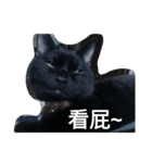 Black cat_makeup！（個別スタンプ：1）