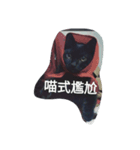 Black cat_makeup！（個別スタンプ：4）