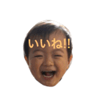 Harukichi sticker（個別スタンプ：6）