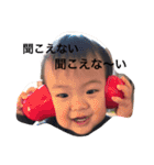 Harukichi sticker（個別スタンプ：22）