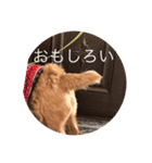 甘えん坊テンたん（個別スタンプ：6）