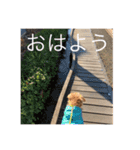 甘えん坊テンたん（個別スタンプ：11）