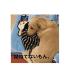 ᕦ日常①（個別スタンプ：3）