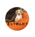 ᕦ日常①（個別スタンプ：5）