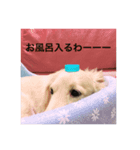 ᕦ日常①（個別スタンプ：7）