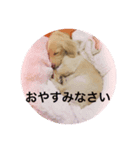 ᕦ日常①（個別スタンプ：8）