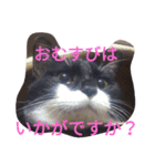 「おむすび」（個別スタンプ：1）