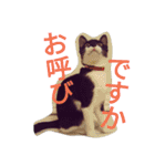 「おむすび」（個別スタンプ：4）