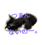 「おむすび」（個別スタンプ：7）