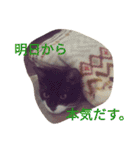 「おむすび」（個別スタンプ：8）