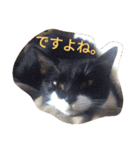 「おむすび」（個別スタンプ：13）