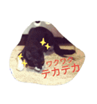 「おむすび」（個別スタンプ：15）