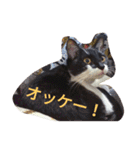 「おむすび」（個別スタンプ：17）