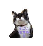 「おむすび」（個別スタンプ：18）