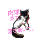 「おむすび」（個別スタンプ：22）
