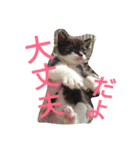 「おむすび」（個別スタンプ：23）