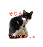 「おむすび」（個別スタンプ：25）