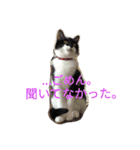 「おむすび」（個別スタンプ：31）