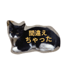 「おむすび」（個別スタンプ：34）