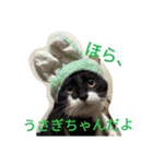 「おむすび」（個別スタンプ：36）