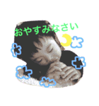 承汰朗 スタンプ（個別スタンプ：7）