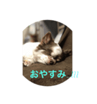ヨークとマミィ（個別スタンプ：2）