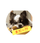 ヨークとマミィ（個別スタンプ：3）