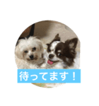 ヨークとマミィ（個別スタンプ：5）