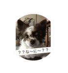 ヨークとマミィ（個別スタンプ：7）