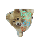 NJgsm（個別スタンプ：8）