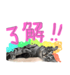 まいにちねこびより（個別スタンプ：2）