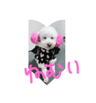 髙橋家ミルちゃん（個別スタンプ：1）