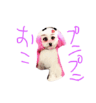 髙橋家ミルちゃん（個別スタンプ：3）