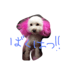 髙橋家ミルちゃん（個別スタンプ：7）