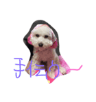 髙橋家ミルちゃん（個別スタンプ：8）