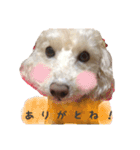わんこちゃんず（個別スタンプ：3）