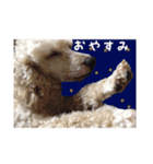 わんこちゃんず（個別スタンプ：4）