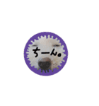 わんこちゃんず（個別スタンプ：15）