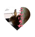 marontan.（個別スタンプ：3）