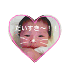u.t.a.（個別スタンプ：5）