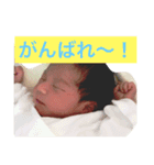 u.t.a.（個別スタンプ：15）