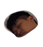 fat li（個別スタンプ：1）