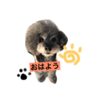 日常あいさつ 〜犬（個別スタンプ：3）