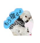日常あいさつ 〜犬（個別スタンプ：4）