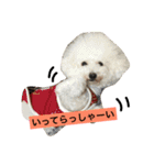 日常あいさつ 〜犬（個別スタンプ：7）