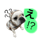日常あいさつ 〜犬（個別スタンプ：14）